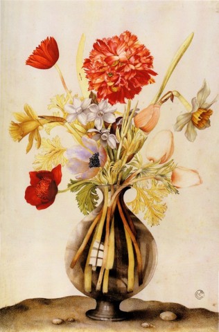 Джованна Гарцони "Кабинет гравюр и эстампов, Флоренция", ваза с цветами на столе