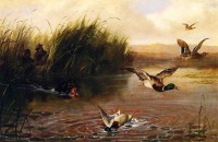 Артур Фицвилльям Тейт "Утиная охота", охотники в комышах, собака плывущая подбирать утку