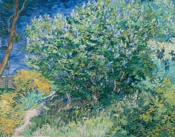 Ван Гог Винсент "Куст", изображение куста вдоль тропинки спускающейся к реке