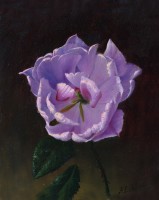 Алексей Антонов, одинокая фиолетовая роза