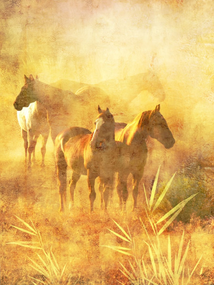 Изображение диких коней, пасущихся в степи на закате дня
