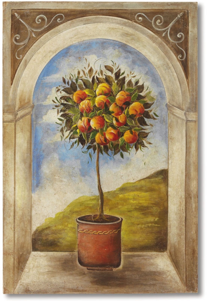 Персиковое дерево с плодами на окне с античным проёмом и на фоне неба